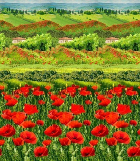 Ткань Бязь Комфорт 220 см рис 6504 вид 1 Цветущая альпика